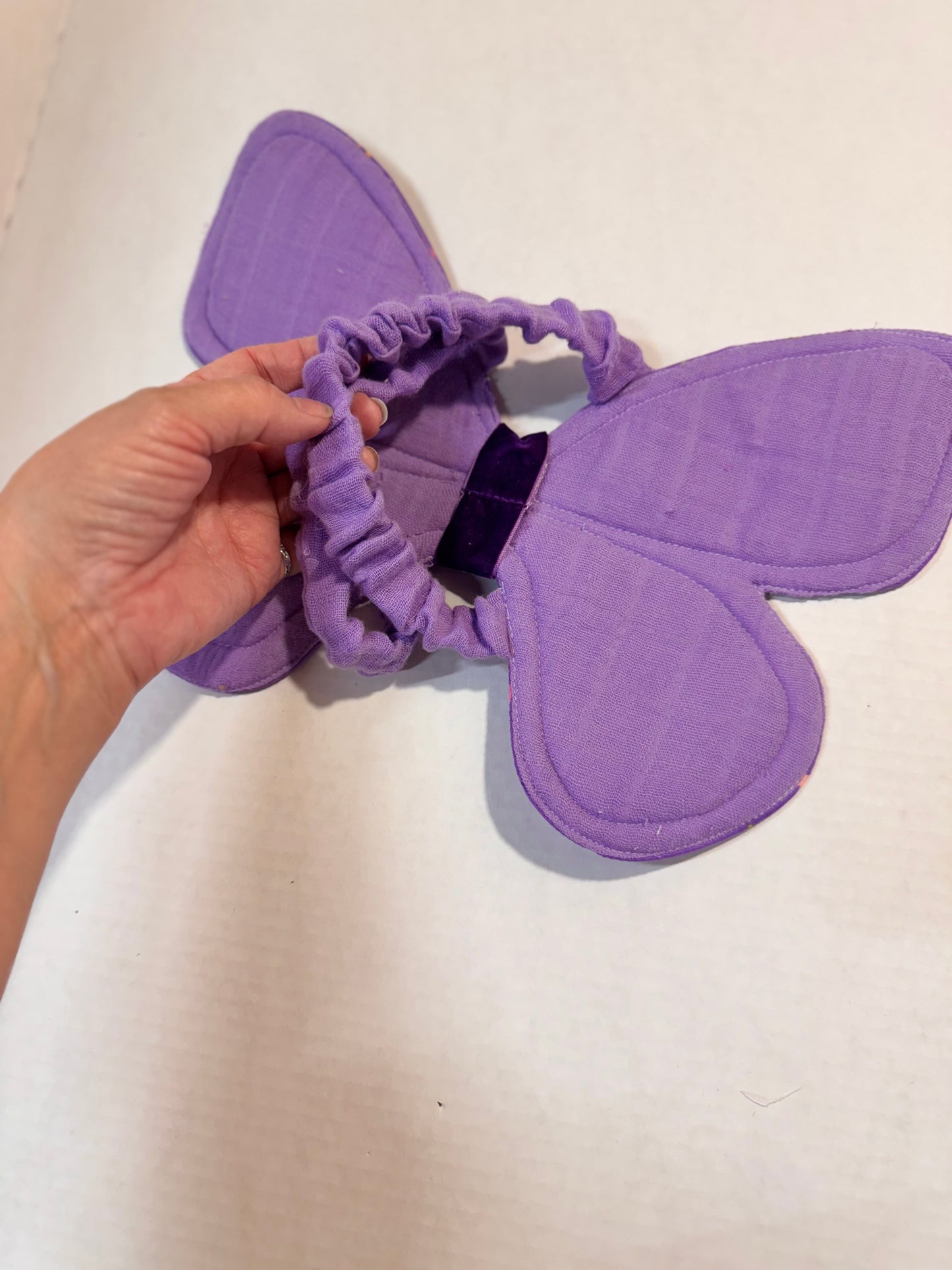 Whimsical butterfly wings